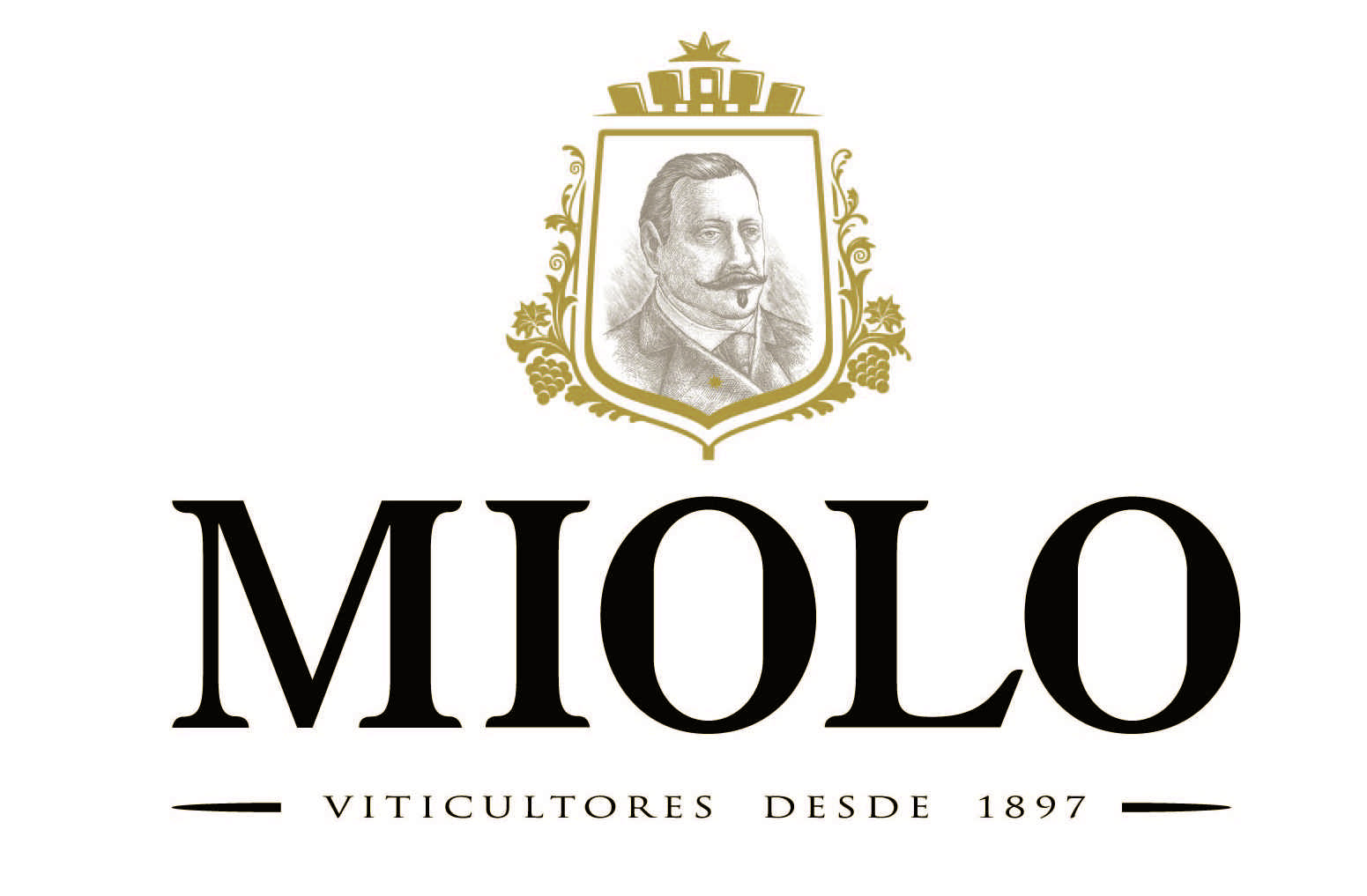 Miolo
